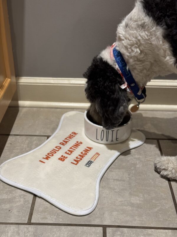 Personalized Pet Feeding Mats – Keep Mealtime Neat and Fun! 🐾🍽️ - Image 2