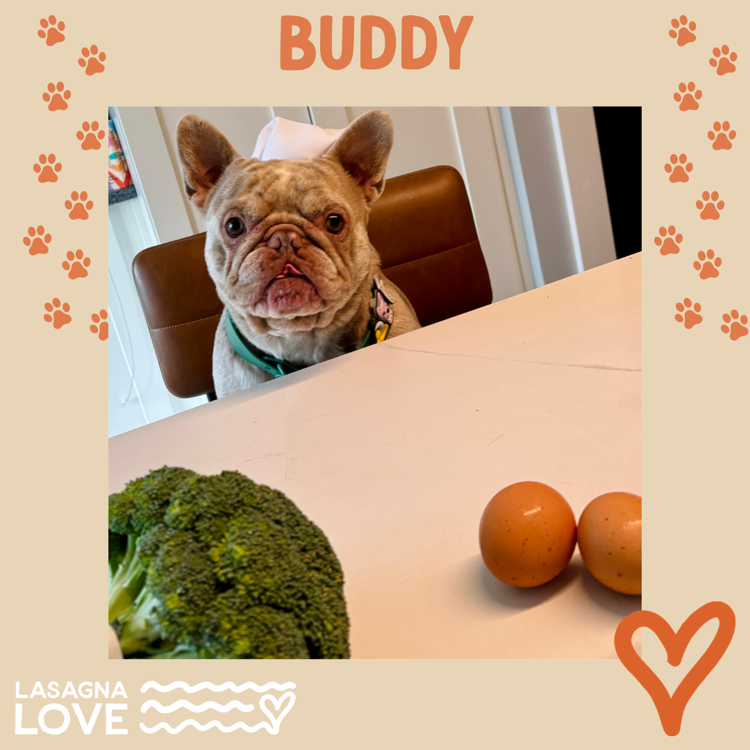 Buddy - Megan - Image 2