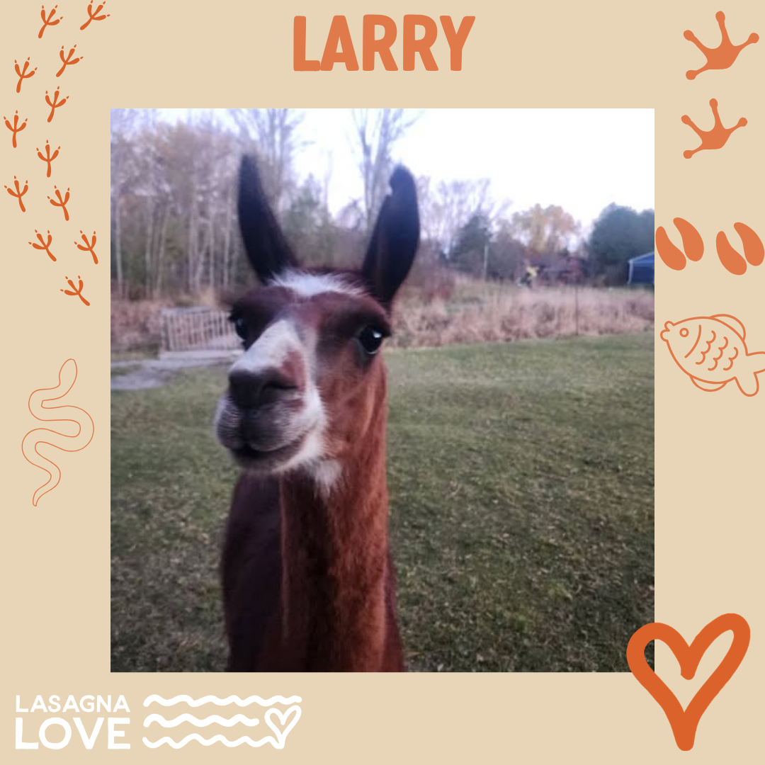 Larry - Denise