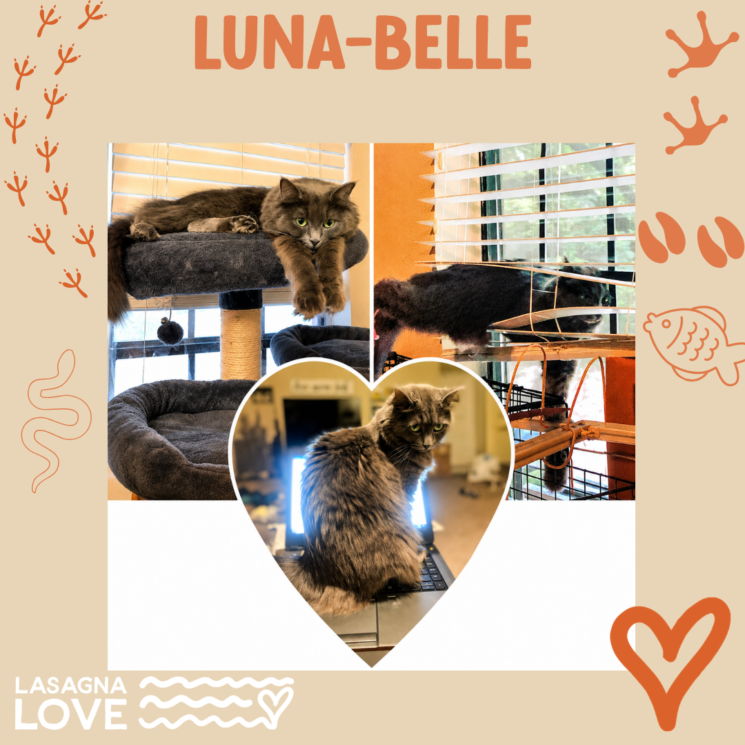 Luna-Belle - Michela (1)