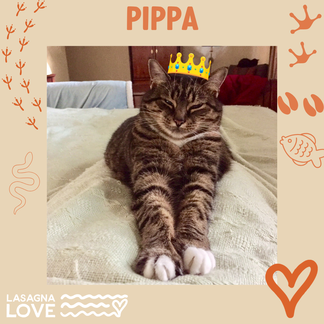 Pippa - Rebecca